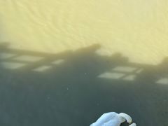 -艾溪湖湿地公园