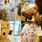 北京探店｜猫咪后院实现撸猫自由🐱