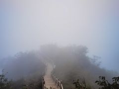 -大岭沟猕猴桃谷风景区