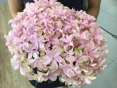 -Butchart布查德鲜花(花艺设计中心)