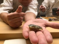 -鮨龍