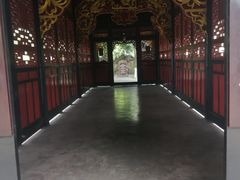 -桂湖森林公园
