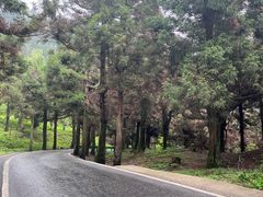 -南岳衡山风景名胜区