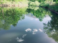 -青峰峡国家森林公园