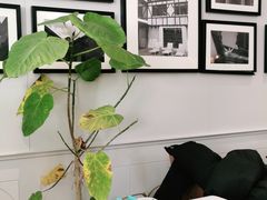 -一尺花园(安和花园店)