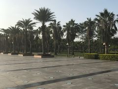 -厦门海湾公园游乐场