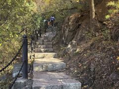 -北京十三陵国家森林公园蟒山景区