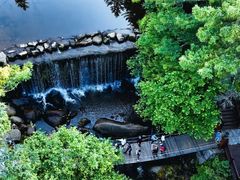-汤旺河林海奇石景区