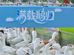 -径山花海