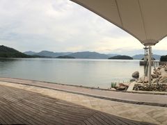 -逸廊大堂吧-下午茶·简餐-千岛湖自由洲际殿