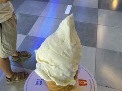 -野人先生现做冰淇淋(北京王府井东方新天地店)