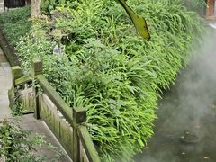 -大妙火锅·非物质文化遗产(东湖公园店)