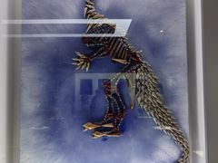 -贝壳王国博物馆