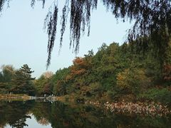 -香山公园