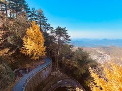 -九华山风景区