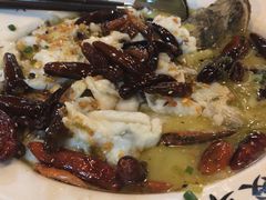 -宋小谨(惠安禹洲店)