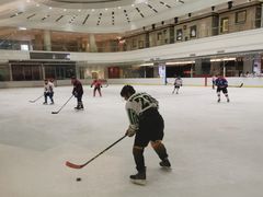 -陈露国际冰上中心(天津嘉里汇店)