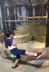 -酷嗒动物文化乐园(cutezoo西溪乐天城店)