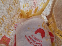 -麦当劳(塔园路店)