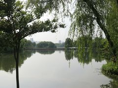 -上海汽车博览公园-北门停车场