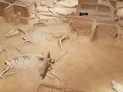 -洛阳周王城天子驾六博物馆