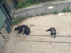 -大连森林动物园