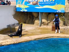 -秦皇岛乐岛海洋王国