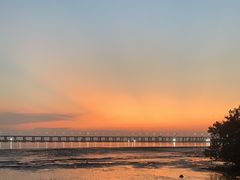 -宝安西湾红树林湿地公园