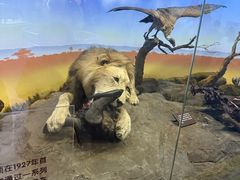 -国家自然博物馆