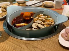 -青瓷火锅料理(西单大悦城店)