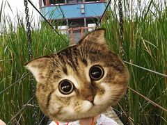 -河北村民俗体验园
