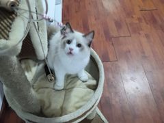 -嘿哟动霸CHUA·新潮玩运动娱乐中心·蹦床滑冰团建乐园