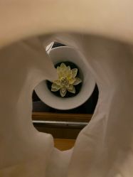-恒美雅轩·品牌直营连锁