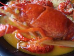 -龙虾风暴(松江店)