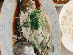 清蒸鲈鱼-围龙屋客家食府(福田店)