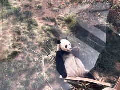 -济南野生动物世界