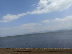 -洱海月湿地公园