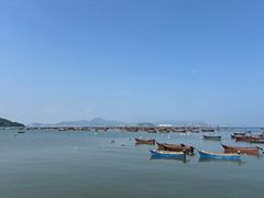 -春妮海味饭店·海景餐厅·海菜包子·大连海鲜