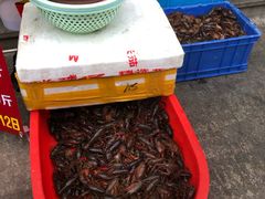 -丑八怪龙虾(盈嘉·香榴湾店)