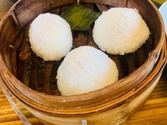 茨毛圆子-双塔老饭店