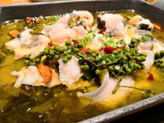 -美食小镇·观赏珍稀鸟类·长隆熊猫酒店