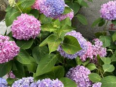 -东钱湖旅游度假区