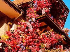 -思南公馆商业街