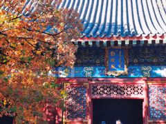 -香山公园