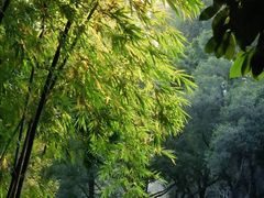 -人民公园(罗湖区)