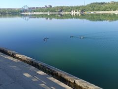 -水上乐园·欢乐世界