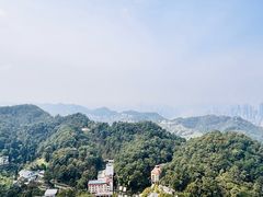 -大金鹰园