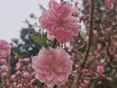 -中关村生命科学园