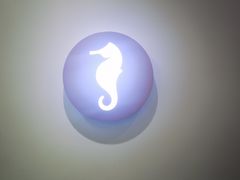 -海马体大师店(广州天汇广场IGC大师店)