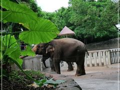 -深圳野生动物园